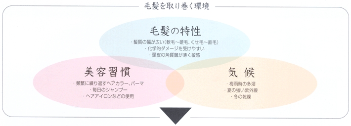 大泉学園の美容室 Hairdo オージュア 美容習慣